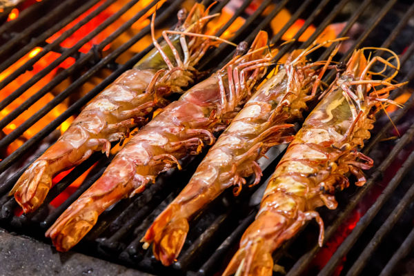 VIS OP DE BBQ – ZEE & ZINTUIGEN OP HET ROOSTER